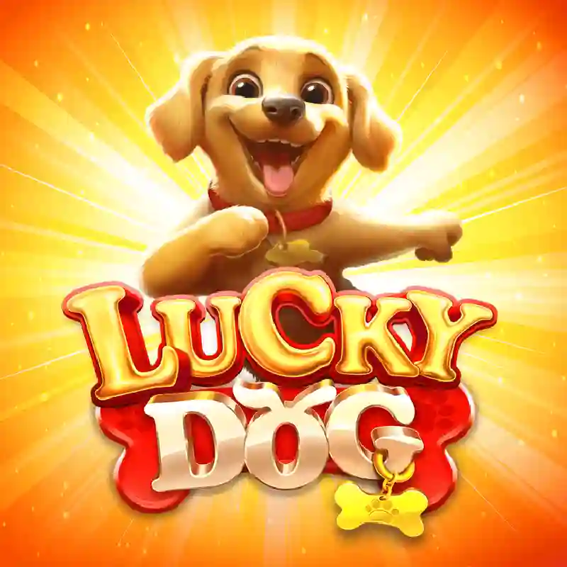 Lucky Dog slot game en Lucky Casino México
